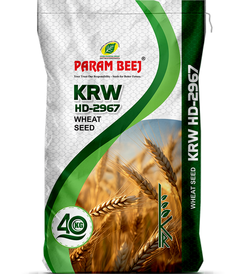 Hd 2967 wheat variety